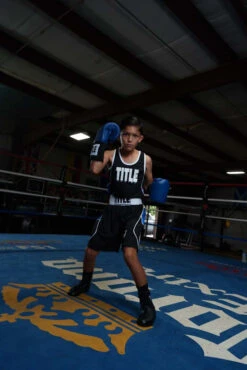 TITLE Boxing USA Boxing Competition Gloves - Elastic -Top Boxing Store ACGESBL 1