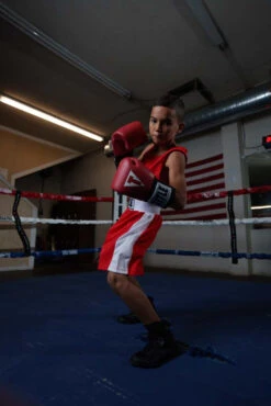 TITLE Boxing USA Boxing Competition Gloves - Elastic -Top Boxing Store ACGESRD 3