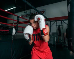 TITLE Boxing All Heart Bag Gloves 2.0 -Top Boxing Store AHABG2WHRD 1