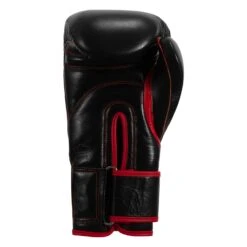 TITLE Boxing Throwback 1998 Anniversary Bag Glove -Top Boxing Store AVTFBG BK RD 04