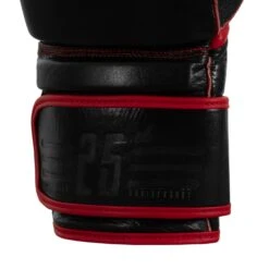 TITLE Boxing Throwback 1998 Anniversary Bag Glove -Top Boxing Store AVTFBG BK RD 06