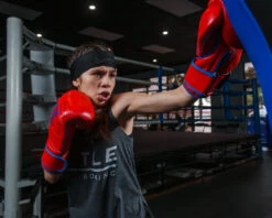 TITLE Boxing Throwback 1998 Anniversary Bag Glove -Top Boxing Store AVTFBGRDBL 1 339f39f1 014b 4fe9 bbb9 52c29eb16516