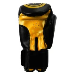 TITLE Classic Speed Boxing Gloves -Top Boxing Store CABG12 BK GD 4