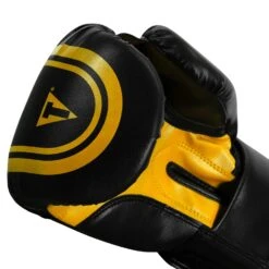 TITLE Classic Speed Boxing Gloves -Top Boxing Store CABG12 BK GD 6