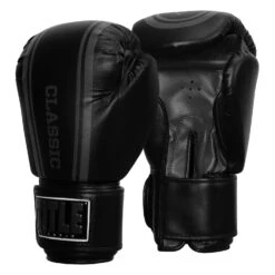TITLE Classic Speed Boxing Gloves -Top Boxing Store CABG12 BK GR 2
