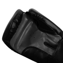 TITLE Classic Speed Boxing Gloves -Top Boxing Store CABG12 BK GR 5