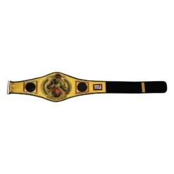 TITLE Boxing Championship Belt -Top Boxing Store CLTB134 06