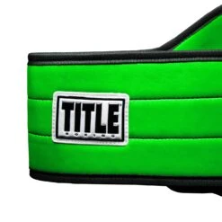 TITLE Boxing World Boxing Champion Title Belt 13 TITLE Boxing World Boxing Champion Title Belt -Top Boxing Store CLTB20 GN 4