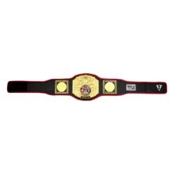 TITLE Boxing Triple Platinum Title Belt -Top Boxing Store CLTB203 BK 6