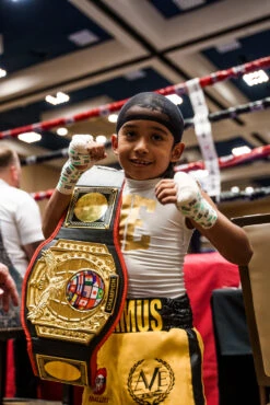 TITLE Boxing Triple Platinum Title Belt -Top Boxing Store CLTB203BK 2