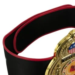 TITLE Boxing Old School Title Belt 12 TITLE Boxing Old School Title Belt -Top Boxing Store CLTB207 4