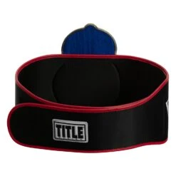 TITLE Boxing Old School Title Belt 14 TITLE Boxing Old School Title Belt -Top Boxing Store CLTB207 5