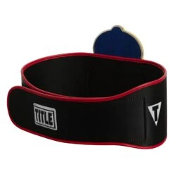 TITLE Boxing Old School Title Belt 15 TITLE Boxing Old School Title Belt -Top Boxing Store CLTB207 6