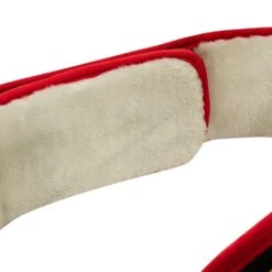 TITLE Boxing Triumphant Wings Of Victory Belt -Top Boxing Store CLTB212 BK 5