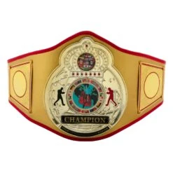 TITLE Boxing Gold Flash Title Belt -Top Boxing Store CLTB215 GD 2