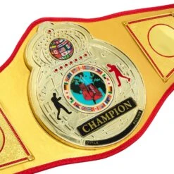 TITLE Boxing Gold Flash Title Belt -Top Boxing Store CLTB215 GD 3