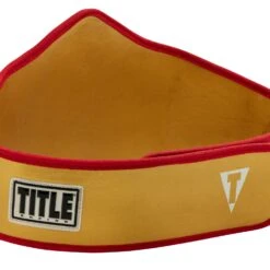 TITLE Boxing Gold Flash Title Belt -Top Boxing Store CLTB215 GD 4