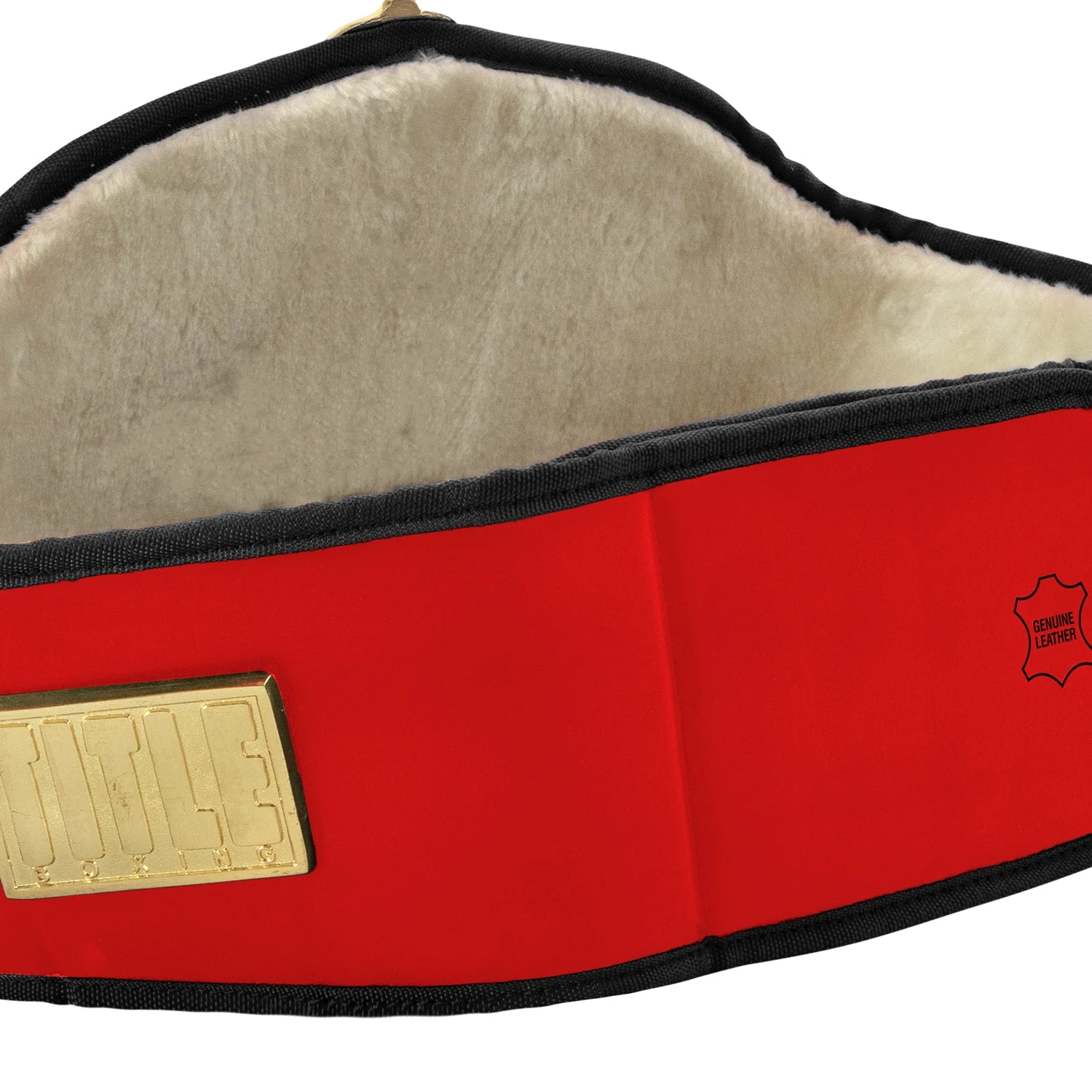 Title Boxing Torch Belt 13 Title Boxing Torch Belt - Image 13