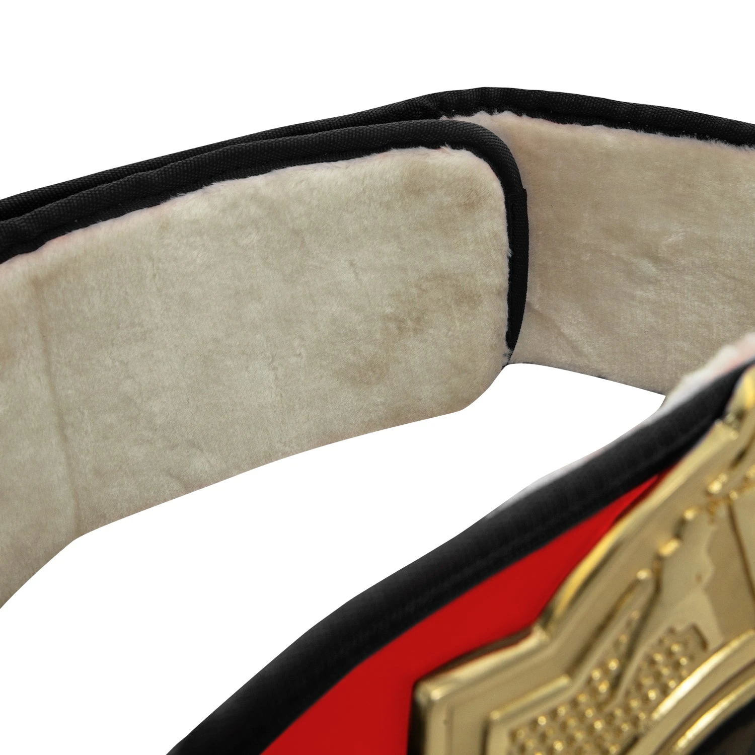 Title Boxing Torch Belt 14 Title Boxing Torch Belt - Image 14