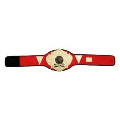Title Boxing Torch Belt 29 Title Boxing Torch Belt -Top Boxing Store CLTB25 RD 6