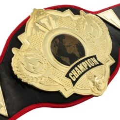 Title Boxing Torch Belt 18 Title Boxing Torch Belt -Top Boxing Store CLTB25 3