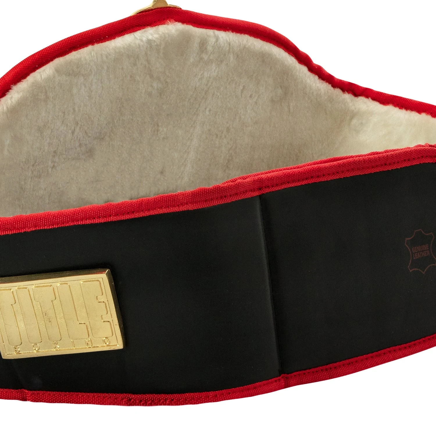 Title Boxing Torch Belt 5 Title Boxing Torch Belt - Image 5