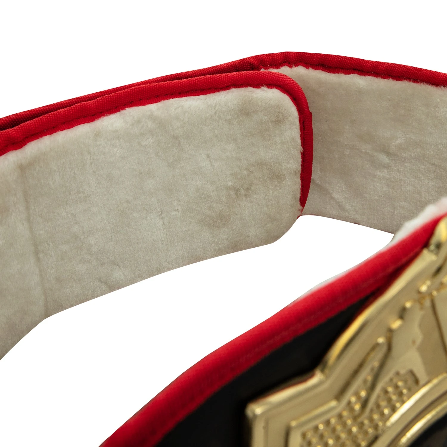 Title Boxing Torch Belt 6 Title Boxing Torch Belt - Image 6