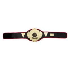 Title Boxing Torch Belt 21 Title Boxing Torch Belt -Top Boxing Store CLTB25 6
