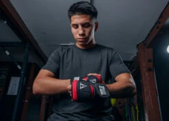 TITLE Boxing Deluxe Weighted Gloves 2.0 -Top Boxing Store DWH2BKRD 1