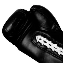 TITLE Boxing Legacy Autograph Gloves 2.0 -Top Boxing Store EABG2 BK 4
