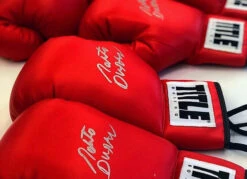 TITLE Boxing Legacy Autograph Gloves 2.0 -Top Boxing Store EABG2RD2