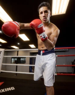 Fighting Professional Boxing Trunks -Top Boxing Store FPSTWHBL