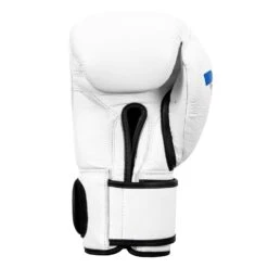 Fighting Fury Professional Training Gloves -Top Boxing Store FSFTGE WH 04