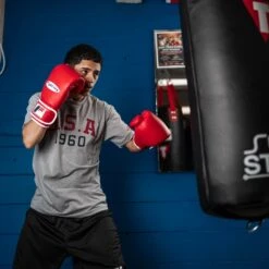 Fighting Fury Professional Training Gloves -Top Boxing Store FSFTGERD