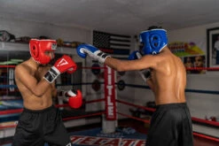 TITLE Boxing Leather Sparring Headgear -Top Boxing Store FTHGBL