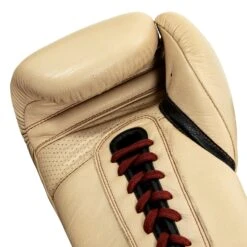 TITLE Boxing Honorary Sparring Gloves -Top Boxing Store GOSSG CRL BNL BK 5