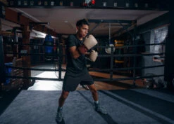 TITLE Boxing Honorary Sparring Gloves -Top Boxing Store GOSSGTN 1 edb11be7 1c34 4421 9aff d5142138cd7f