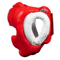 TITLE Boxing Gel World Full Face Training Headgear -Top Boxing Store GTHGF RD 3
