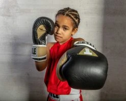 TITLE Boxing Gel World V2T Bag Gloves -Top Boxing Store GTWBGV2T BK GD WH