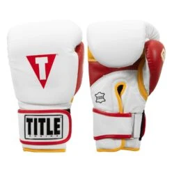 TITLE Boxing Gel World V2T Bag Gloves