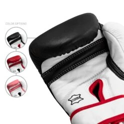 TITLE Boxing Home Conditioning Bundle -Top Boxing Store GTWBG 5