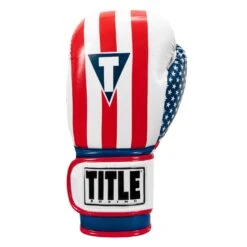 TITLE Boxing Infused Foam Combat USA Training Gloves -Top Boxing Store HIFUTG 3