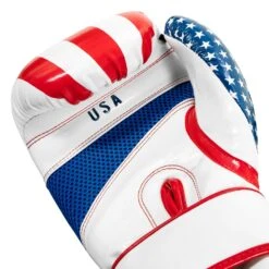 TITLE Boxing Infused Foam Combat USA Training Gloves -Top Boxing Store HIFUTG 5