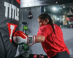 TITLE Boxing Infused Foam El Combate Mexico Training Gloves -Top Boxing Store HIFXTGMEX 2