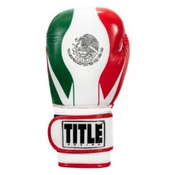 TITLE Boxing Infused Foam El Combate Mexico Training Gloves -Top Boxing Store HIFXTG 3