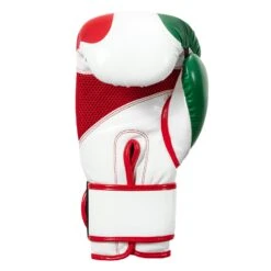 TITLE Boxing Infused Foam El Combate Mexico Training Gloves -Top Boxing Store HIFXTG 4 b85957ca 7880 464f a065 66deb14b8b2c