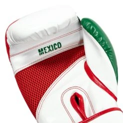 TITLE Boxing Infused Foam El Combate Mexico Training Gloves -Top Boxing Store HIFXTG 5
