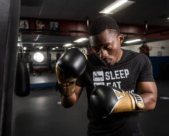 TITLE Boxing Infused Foam Interrogate Training Gloves 2.0 -Top Boxing Store IFAITG2GD 1