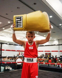 TITLE Boxing Jumbo Boxing Gloves 2.0 -Top Boxing Store JBG2GD 1