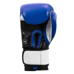 TITLE Boxing Premium Leather Performance Training Gloves 25 TITLE Boxing Premium Leather Performance Training Gloves -Top Boxing Store LPTG BL WH BK 004